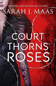 AlwaysReiding_CourtofThornsandRoses